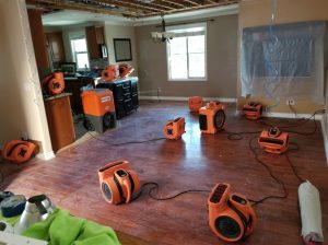 water damage in naples