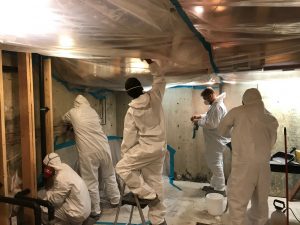 911 restoration mold removal team