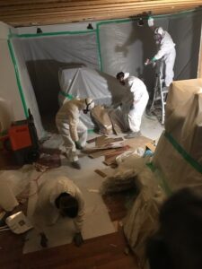 Mold removal technicians working